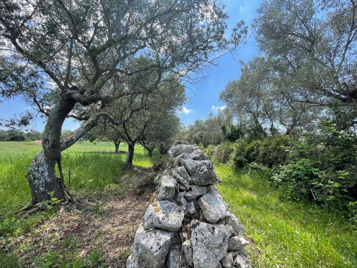 Trullo Trullallero マルティナ・フランカ エクステリア 写真